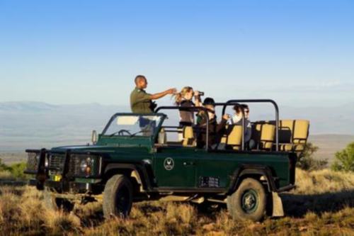 Mountain Zebra NP (1)